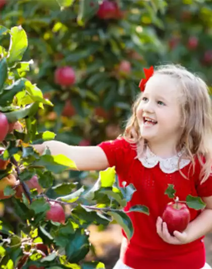 OBSTGARTEN FÜR KINDER