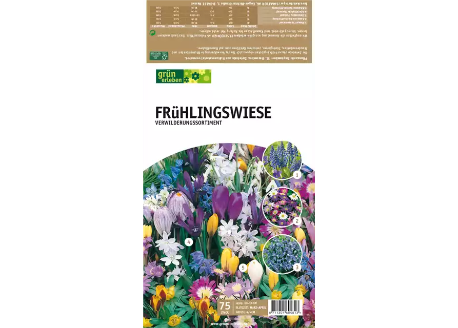 Frühlingswiese