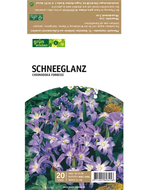 Schneeglanz