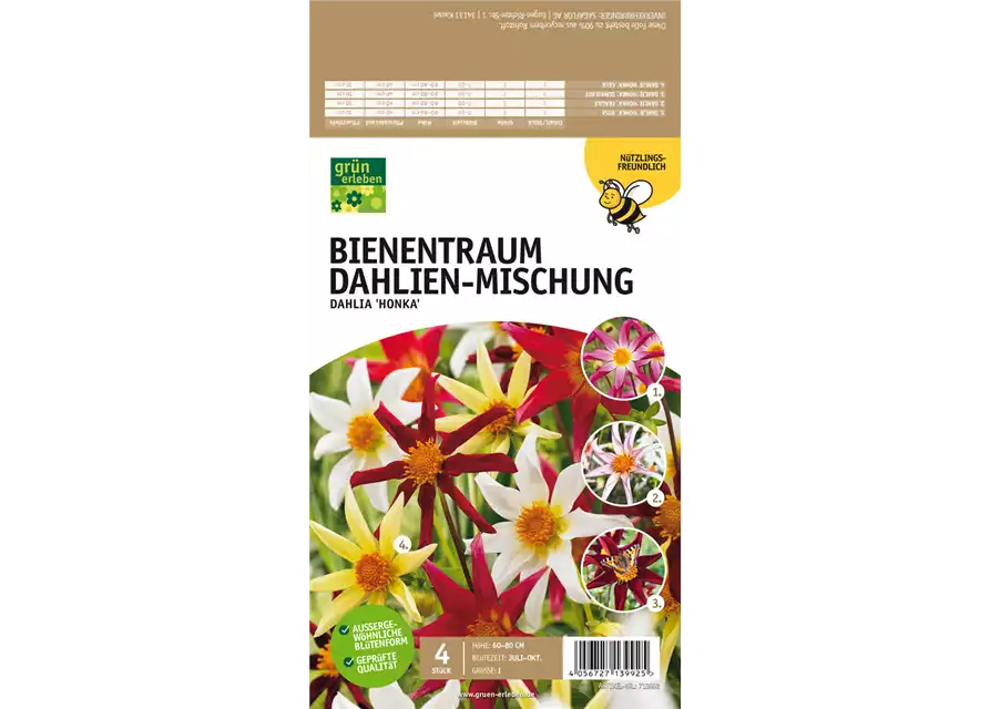 Bienentraum Dahlien-Mischung