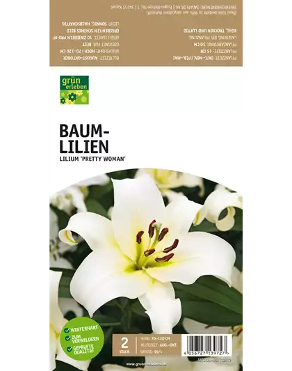 Baum-Lilien