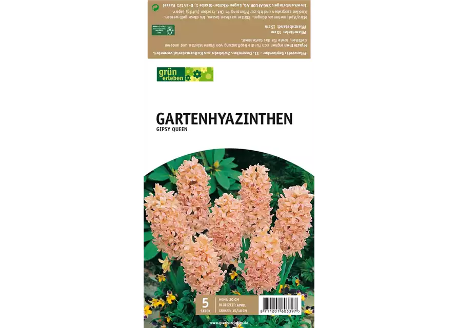 Gartenhyazinthen