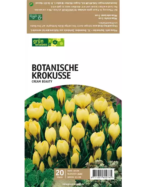 Botanische Krokusse