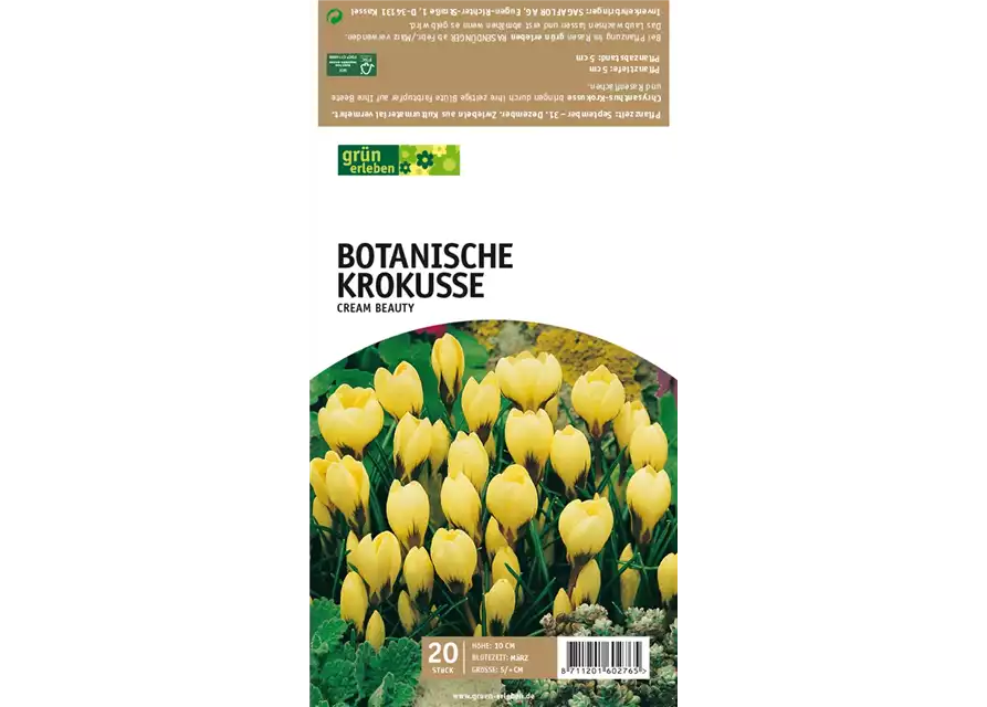 Botanische Krokusse