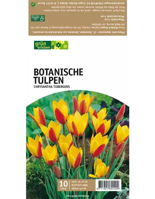 Botan. Wildtulpen