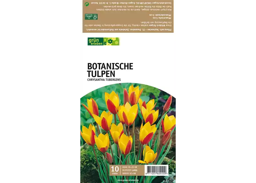 Botan. Wildtulpen