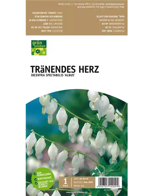 Tränendes Herz