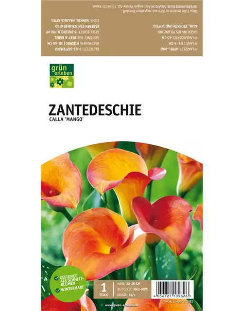 Zantedeschie