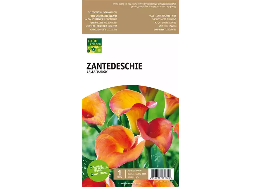 Zantedeschie