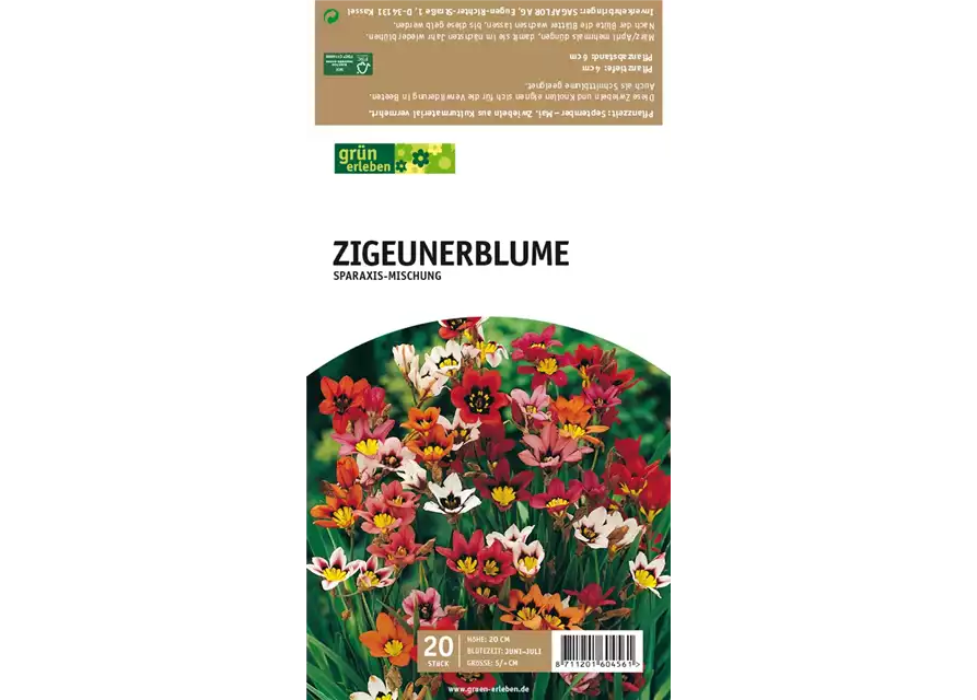 Zigeunerblume