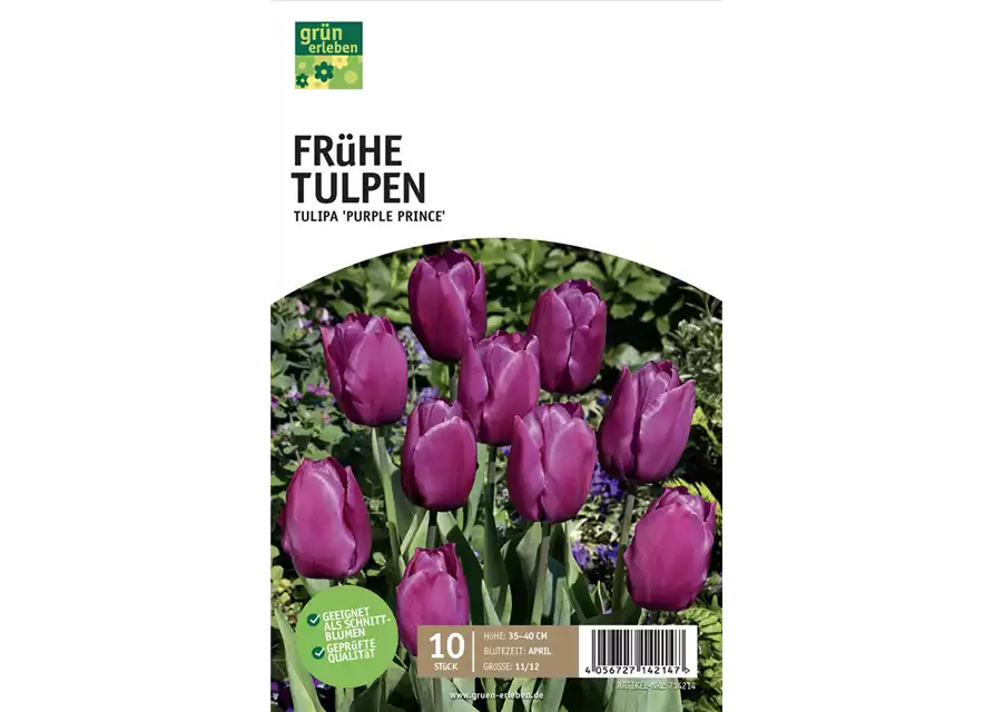 Einfache frühe Tulpen