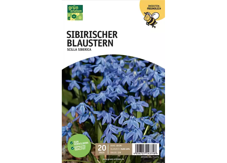 Blausternchen