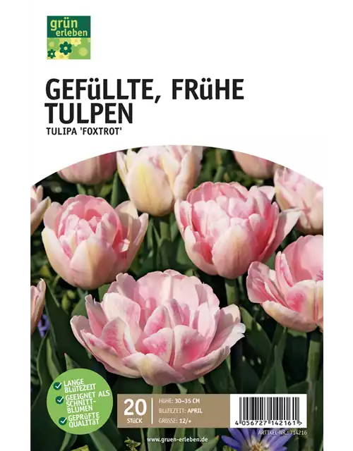 Frühe Tulpen, gefüllt