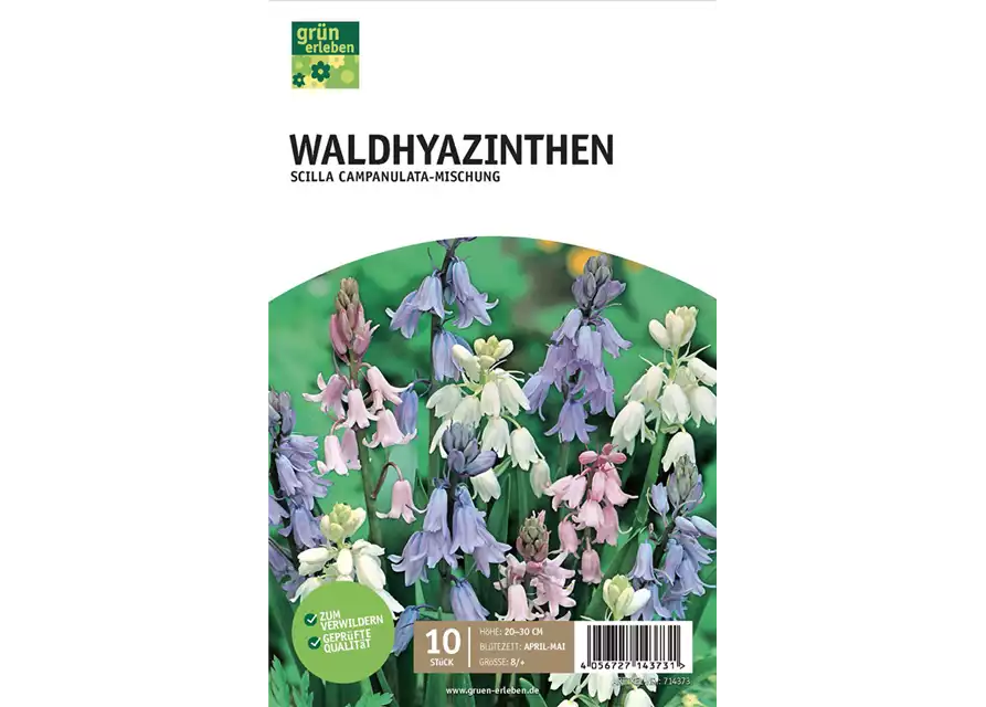 Waldhyazinthen