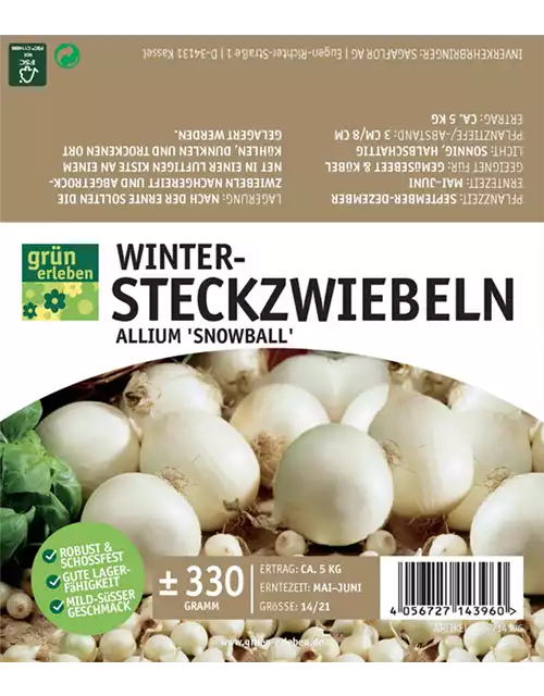 Wintersteckzwiebeln Snowball