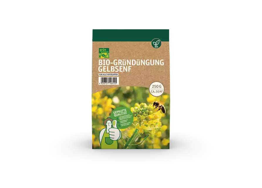 Bio-Gründüngung