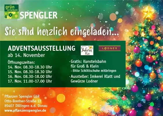 Adventausstellung Dillingen